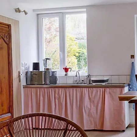 아파트 Grand Prive Et Ses Jardins Dans Manoir De 1803 En Foret *