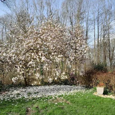 Grand Prive Et Ses Jardins Dans Manoir De 1803 En Foret